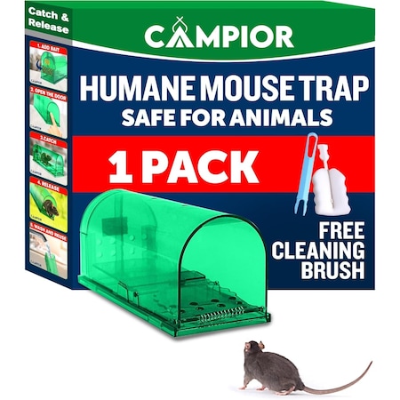 Campior Humane Mouse Trap, Large, No-Kill, Indoor, Pet Safe, Easy Clean, No-Touch Release, Green CMPMO8SGR41