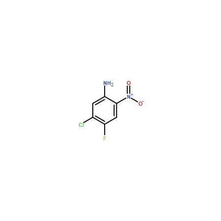 Ak Scientific 5-Chloro-4-fluoro-2-nitroaniline (5g), CAS 104222-34-6 Y6896-5g