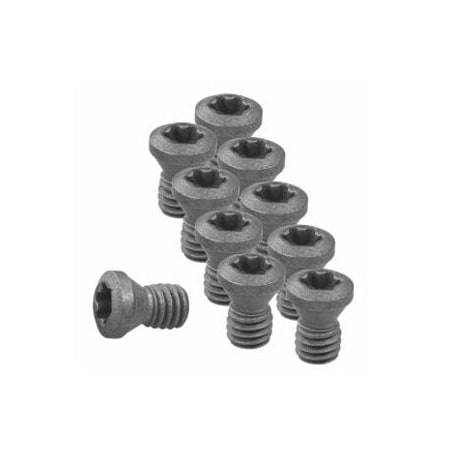 Garant Set of Insert Screws, 10 Pieces 219825