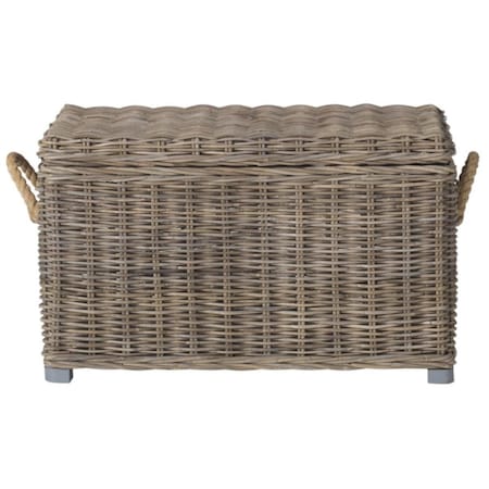 Safavieh Salim Trunk- Grey - 18.7 x 18.1 x 29.9 in. SEA7019A