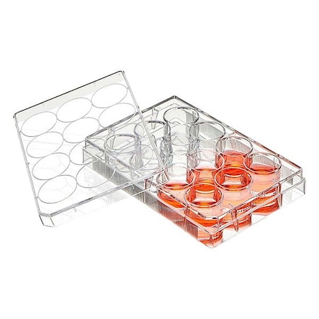 Globe Scientific Well Plate, Colorless, PK50 TC-PLT-12-NT