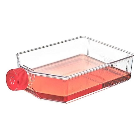 Zoro Select Plastic Flasks, Colorless, PK25 TC-FLSK-225-V
