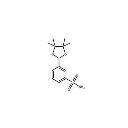Ak Scientific 3-Boronobenzenesulfonamide pinacol ester (250mg), CAS 486422-08-6 X0857-250mg