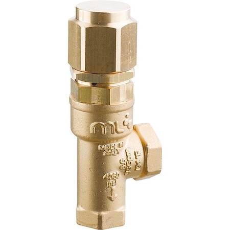 A.R. North America Safety Valve, 4,060 psi, Brass SVL28