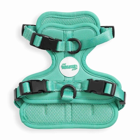 The Licker Store Arlo Extra Small Adjustable Soft Padded No Pull Pet Harness with 3 Buckles and 3 Leash Clips, Julep HNS1000K