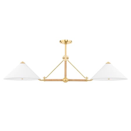 Hudson Valley Lighting Williamsburg 4 Light Linear 57 In. Aged Brass 1057-AGB