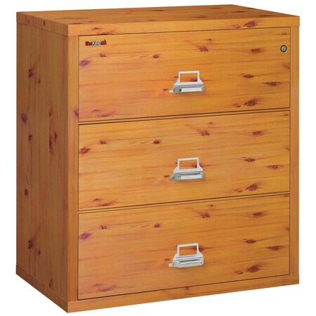 Fireking Flexible storage and 1200 Deg/1 Hr. Fire Rating Platinum EEC-3422-DPL