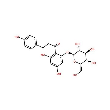 Ak Scientific Phloridzin (1g), CAS 60-81-1 Q438-1g