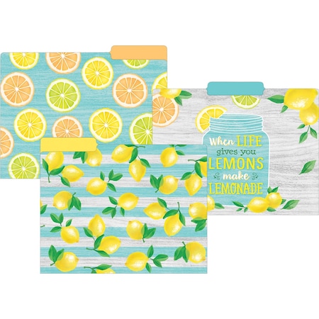 Teacher Created Resources Lemon Zest Letter-Sized File Folders, 12PK 8542