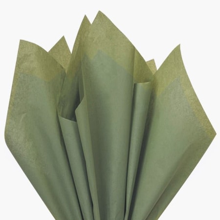 Nashville Wraps Tapestry Olive Green Color Tissue Paper, 15x20, 480PK CT1TP