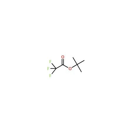 Ak Scientific t-Butyl trifluoroacetate (1g), CAS 400-52-2 2543AE-1g