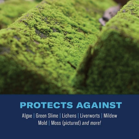 Bioadvanced 2-In-1 32 Oz. Ready To Spray Moss & Algae Killer with HPX Sprayer 704710B