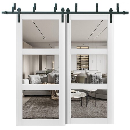 Sartodoors Sliding Closet 3 Lites Clear Glass Barn Bypass Doors, Lucia 2555 White Silk, Sturdy 6.6ft Rails Ha LUCIA2555BBB-WS-6484