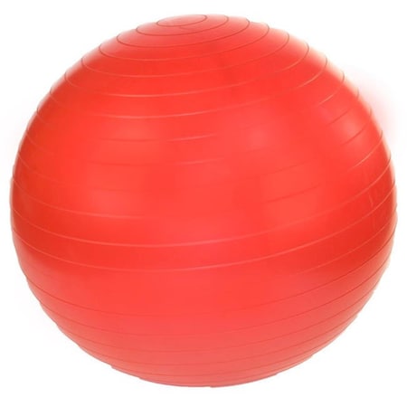 Fitnessfreak Professional Exercise Ball 45cm - Ruby Red FI13396
