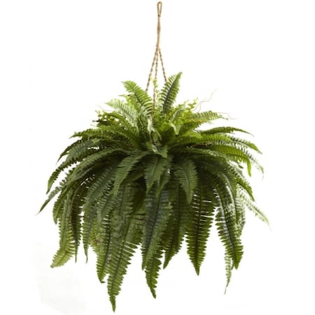 Dare2Decor Double Giant Boston Fern Hanging Basket DA409345
