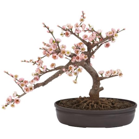 Dare2Decor Silk Cherry Blossom Bonsai Silk Tree DA103081