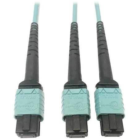 Eaton Tripp Lite Series 400G Multimode 50/125 OM4 Plenum Fiber Optic Cable, 24F MTP/MPO-PC to x2 12F N846D-01M-24BAQ