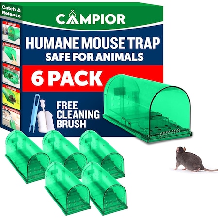 Campior Humane Mouse Trap, Large, No-Kill, Indoor, Pet Safe, Easy Clean, No-Touch Release, Green, 6PK CMPMO8SGR76