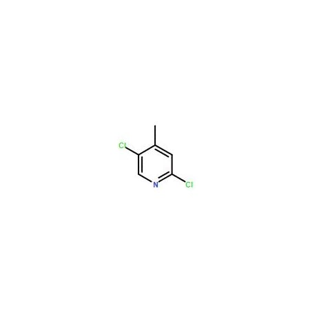 Ak Scientific 2, 5-Dichloro-4-methylpyridine (1g), CAS 886365-00-0 4928AH-1g