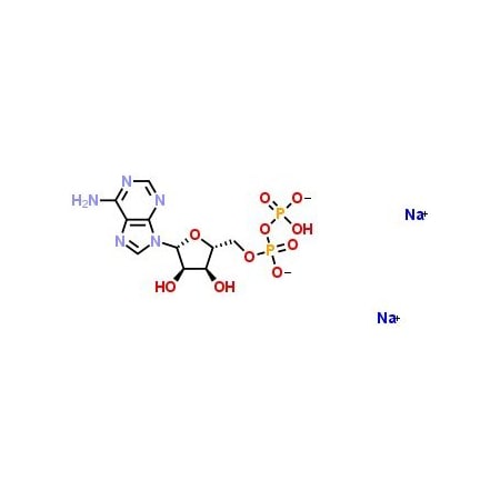 Ak Scientific Adenosine-5'-diphosphate disodium salt (5g), CAS 16178-48-6 E185-5g