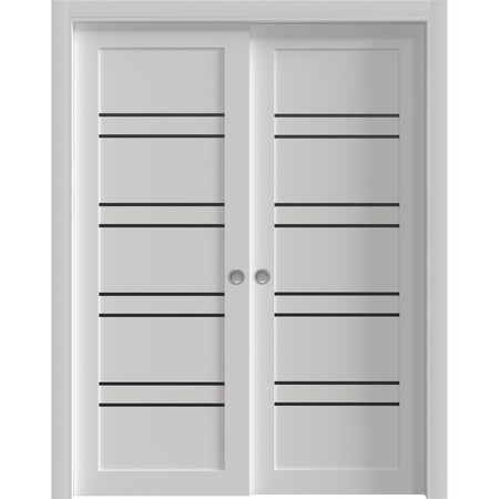 Sartodoors Sliding Closet Bypass Doors 64 x 96 inches, BASIC 4901 White with Black Glass, Rails Hardware Set BASIC4901DBD-WS-6496