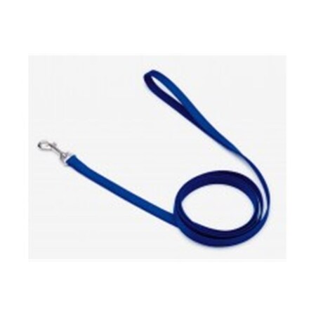 Coastal Pet 5-8X4 Nylon Lead Blue 764071