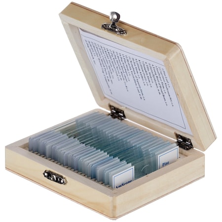 Amscope 25 Glass Prepared Microscope Slides with Wooden Box PS25W