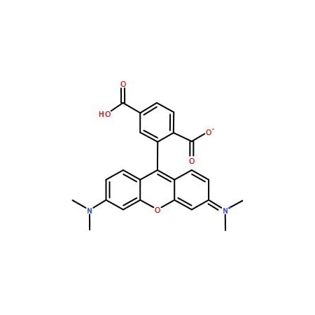 Ak Scientific 6-TAMRA (100mg), CAS 91809-67-5 3369AH-100mg