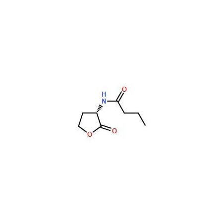 Ak Scientific N-Butanoyl-L-homoserine lactone (1g), CAS 67605-85-0 0410AC-1g