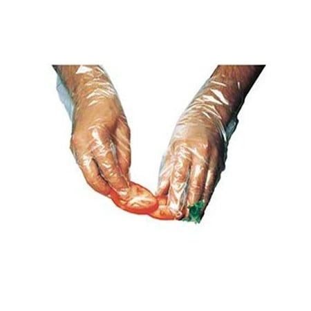 Ibs Poly Foodservice Glove Medium *SOLD BY INNER BOX ONLY* GL-MEDIUM / P6002 - EA