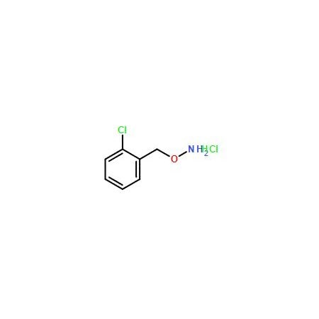 Ak Scientific O-(2-Chlorobenzyl)hydroxylamine hydrochloride (1g), CAS 5555-48-6 Z3767-1g