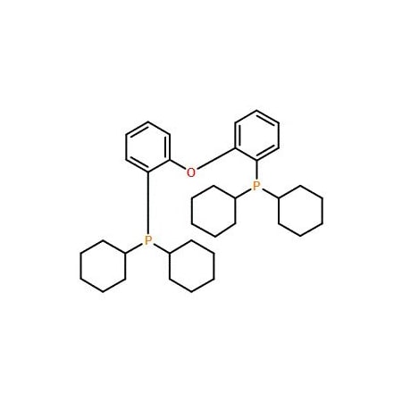 Ak Scientific (Oxybis(2, 1-phenylene))bis(dicyclohexylphosphine) (100g), CAS 434336-16-0 6007AB-100g
