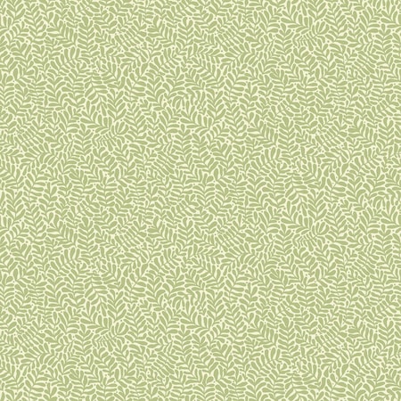 A-Street Prints Anna Light Green Fern Trail Wallpaper 2999-55001