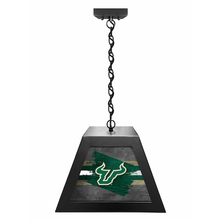 Holland Bar Stool University of South Florida Pendant Box Light BxLM1
