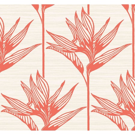 York Wallcoverings Bird of Paradise Coral Wallpaper TC2676