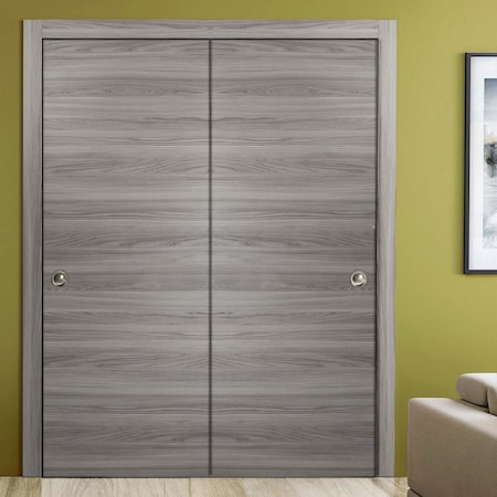 Sartodoors Sliding Closet Bypass Doors, Planum 0010 Ginger Ash, Sturdy Top Mount Rails Moldings Trims Hardware PLANUM0010DBD-GA-8484