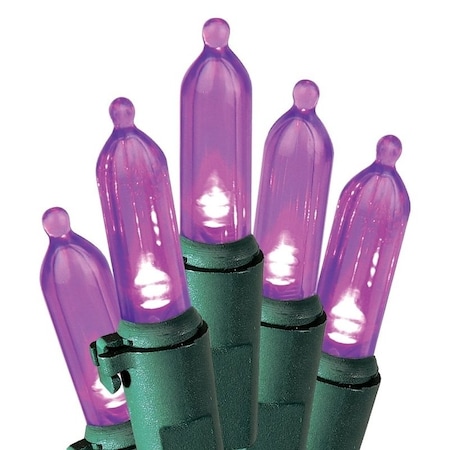 Hometown Holidays Light Set, Christmas, 120 V, 4.8 W, 50-Lamp, LED Lamp, Purple Lamp, 13.58 ft L U10E406H