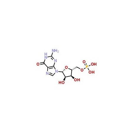Ak Scientific Guanosine 5'-monophosphate (1g), CAS 85-32-5 H403-1g