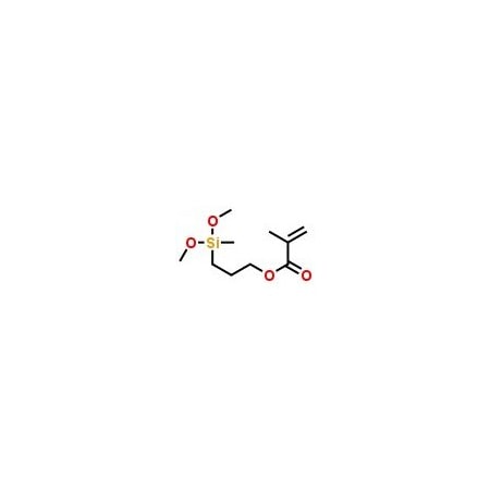 Ak Scientific 3-[Dimethoxy(methyl)silyl]propyl Methacrylate (1g), CAS 14513-34-9 I291-1g
