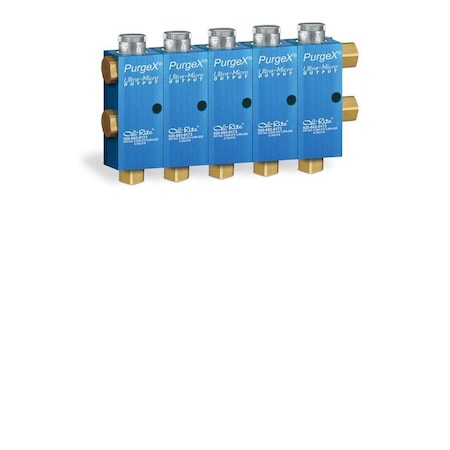 Oil-Rite PurgeX for Oil Dispensing - Ultra-Micro Output Air Operated with Buna-N Seals - 5 B3583-105