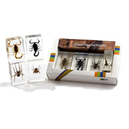 Ed Speldy East Paper Weight Collection with Real Scorpion and Spider in acrylic PWC441