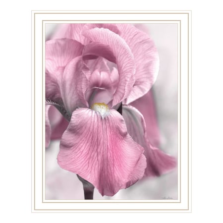 Homeroots Pink Iris White Framed Print Wall Art 530023