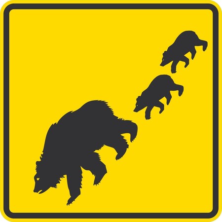 Lyle Bear Crossing (W/Sym), 24x24, Non-Reflective, Yellow G-13380-NA_24x24