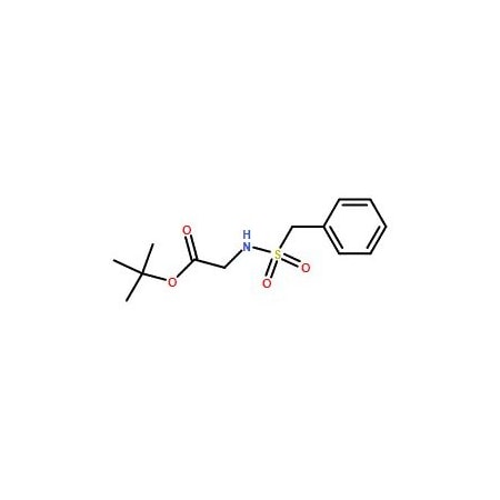 Ak Scientific tert-Butyl 2-(phenylmethylsulfonamido)acetate (1g), CAS 1015856-04-8 7752AH-1g