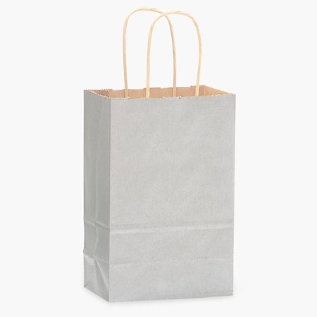 Nashville Wraps Metallic Silver Recycled Kraft Bag, Rose 5.5x3.25x8.375in, 25PK 24RTMS