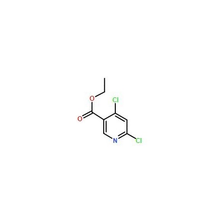 Ak Scientific Ethyl 4, 6-dichloronicotinate (25g), CAS 40296-46-6 V1643-25g