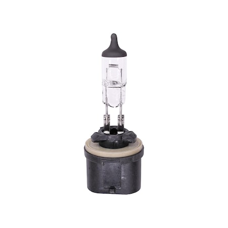 Auveco Halogen Bulb #893 20599
