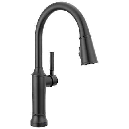Delta Renaldi Touch2O Kitchen Faucet with Touchless Technology Matte Black 9184TL-BL-DST