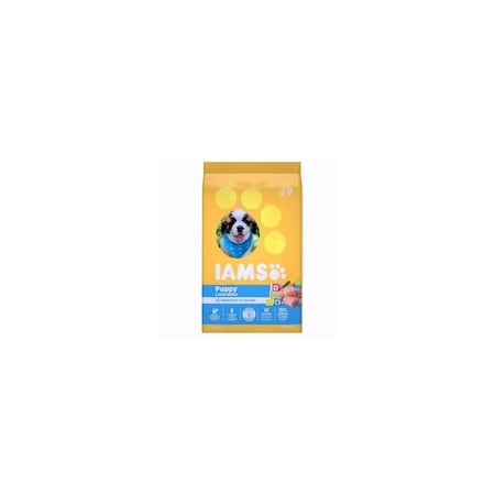 Purina ProActive Dry Dog Food, Large Breed Puppy, 30.6 Lbs. 70073