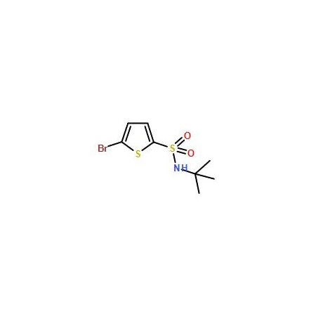 Ak Scientific 5-Bromo-N-tert-butyl-2-thiophenesulfonamide (1g), CAS 286932-39-6 V0674-1g